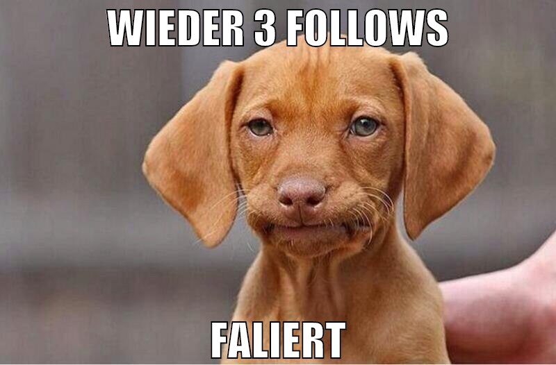 wieder 3 follows faliert