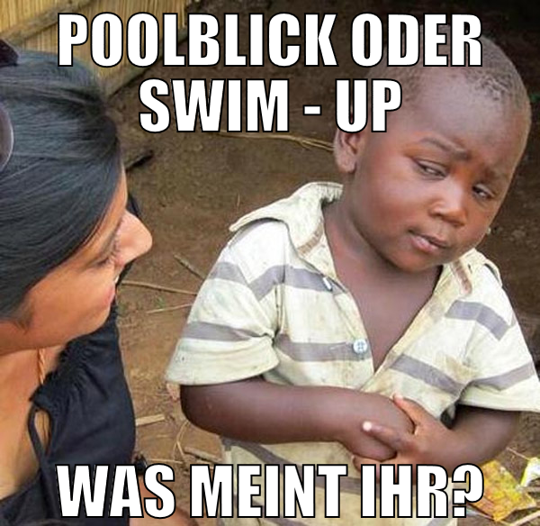 Poolblick oder Swim - up was meint Ihr?