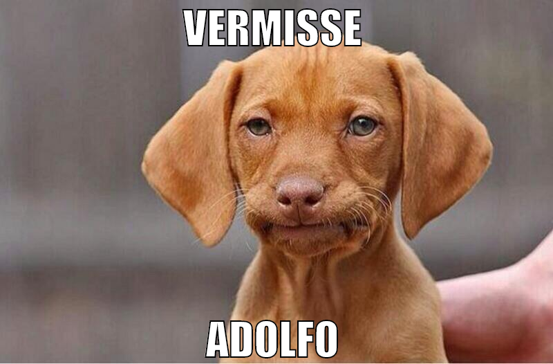 vermisse  adolfo