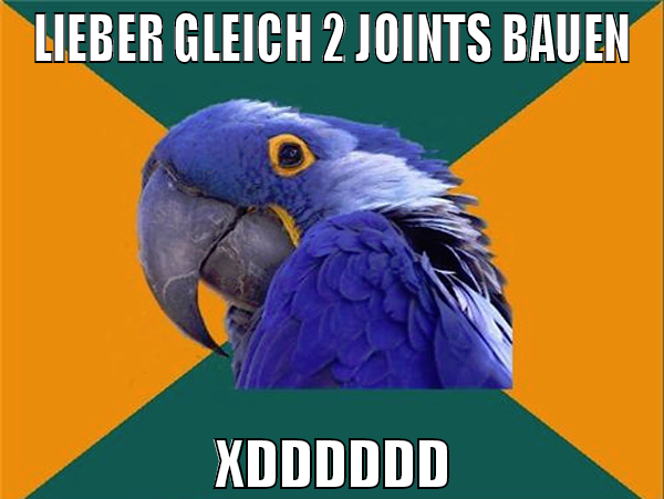 LIEBER GLEICH 2 JOINTS BAUEN xDDDDDD