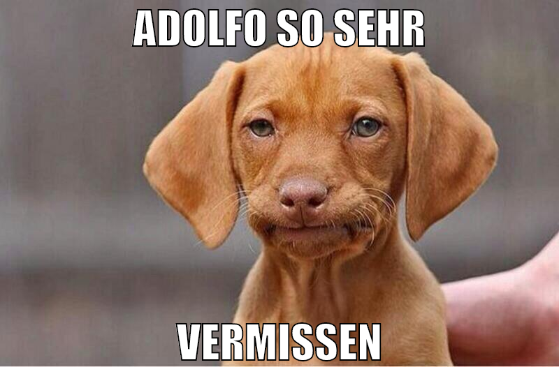 adolfo so sehr vermissen