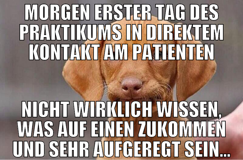 Morgen erster Tag des Praktikums in direktem konta