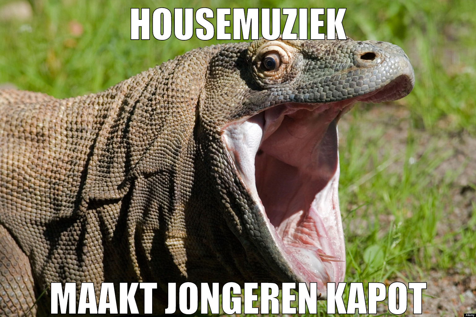 HouseMuziek maakt jongeren Kapot