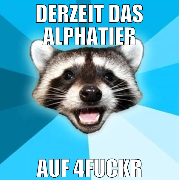 derzeit das alphatier auf 4fuckr