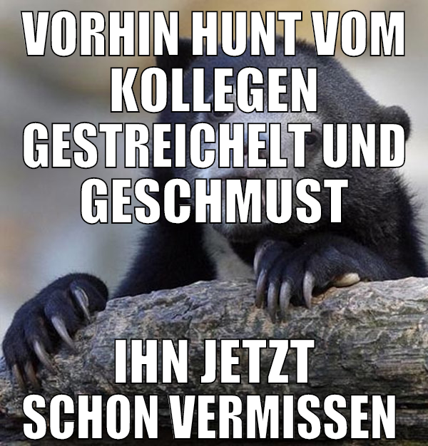 vorhin hunt vom kollegen gestreichelt und geschmus