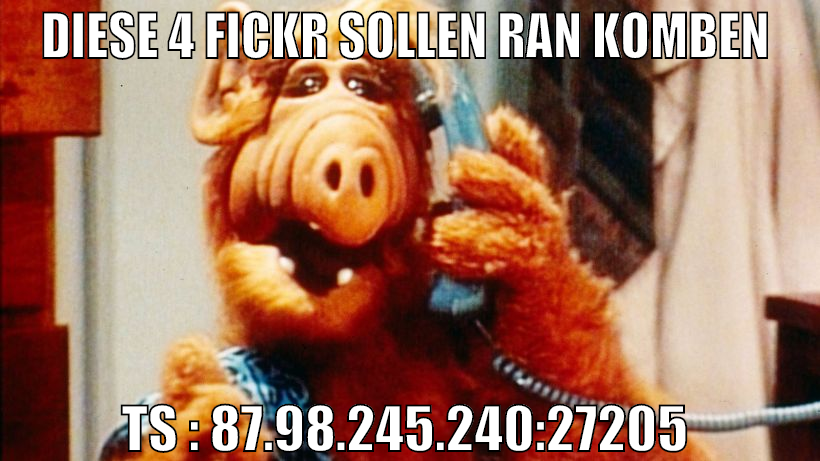 diese 4 fickr sollen ran komben  TS : 87.98.245.24