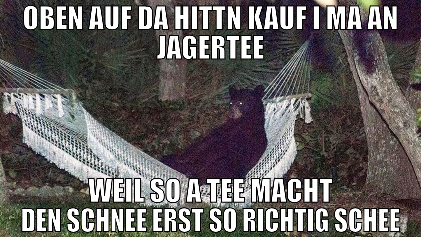 Oben auf da Hittn kauf i ma an Jagertee weil so a