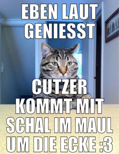 Eben laut genießt Cutzer kommt mit schal im maul u