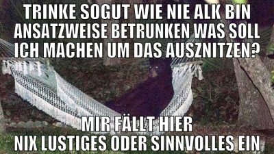 trinke sogut wie nie alk bin ansatzweise betrunken