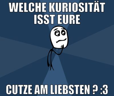 welche Kuriosität isst eure cutze am liebsten ? :3