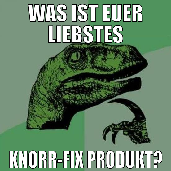WAS IST EUER LIEBSTES KNORR-FIX PRODUKT?