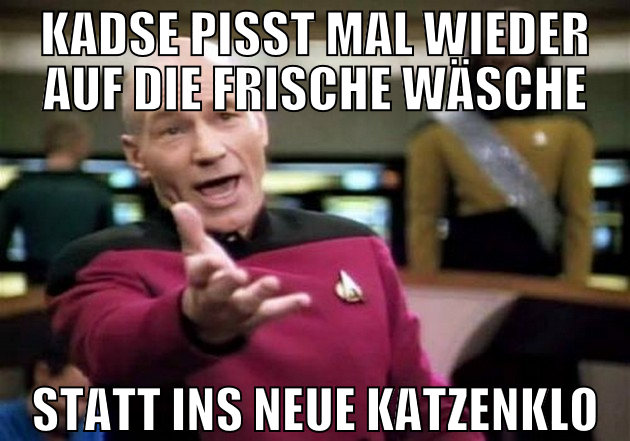 kadse pisst mal wieder auf die frische wäsche stat