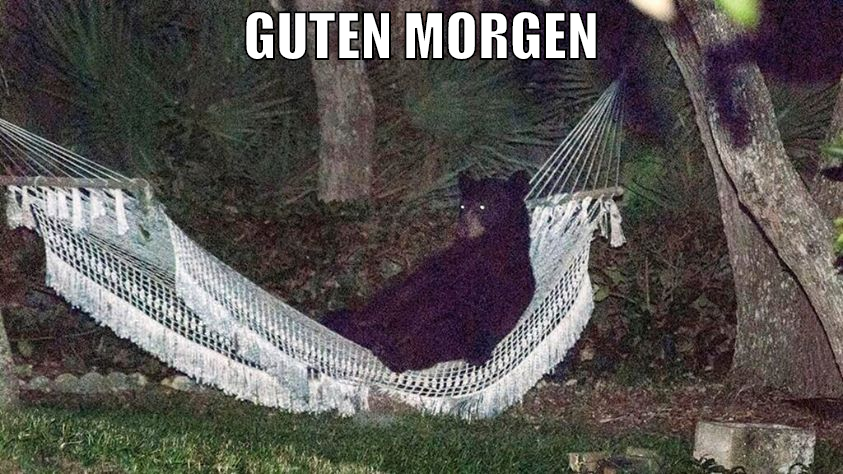 Guten Morgen