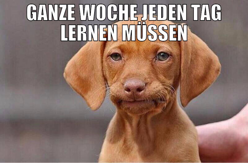 ganze woche jeden tag lernen müssen