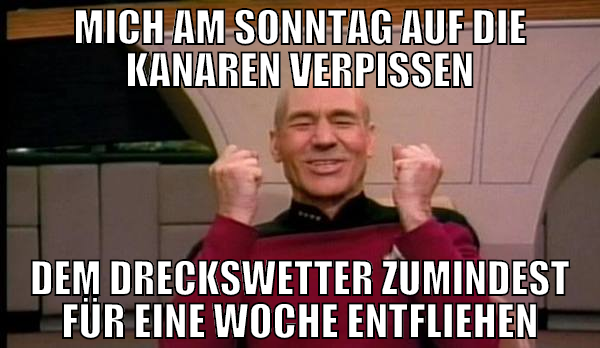 mich am sonntag auf die kanaren verpissen dem drec