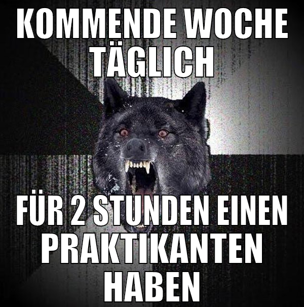 kommende woche täglich für 2 stunden einen praktik