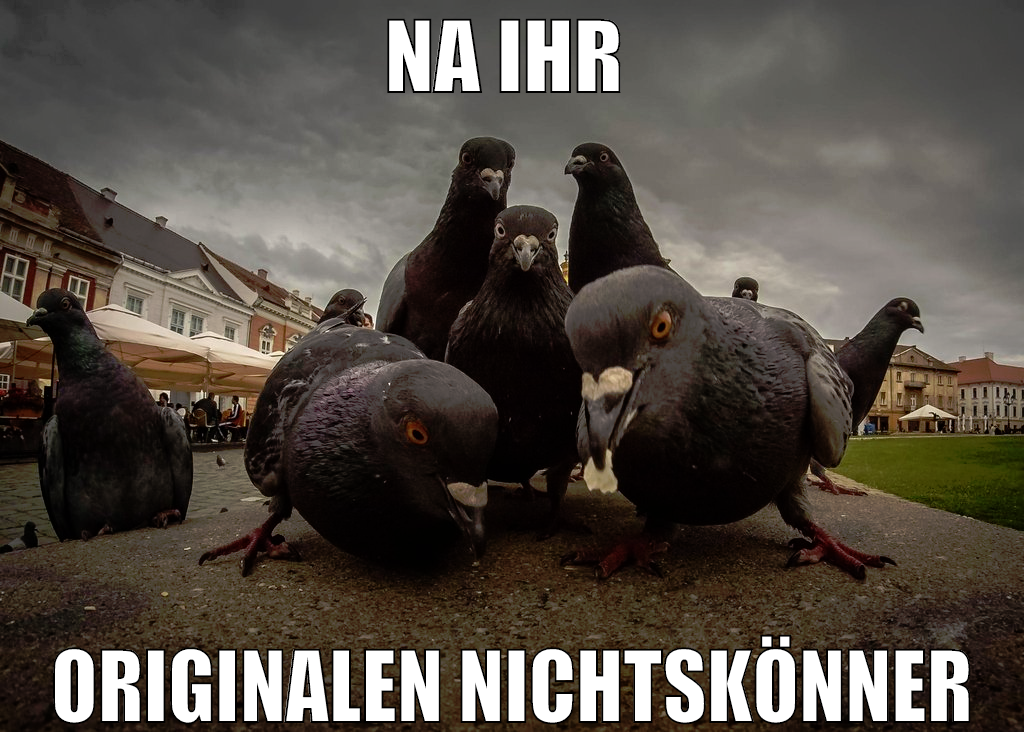 na ihr  originalen nichtskönner