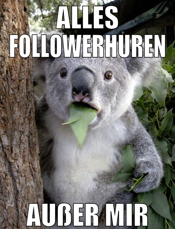 alles followerhuren außer mir