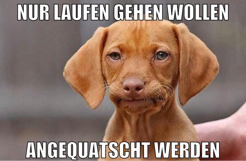 nur laufen gehen wollen angequatscht werden