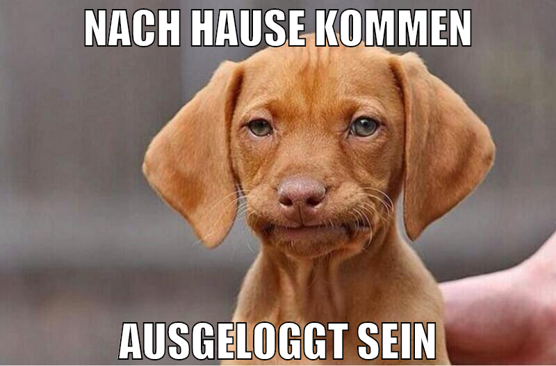 nach hause kommen ausgeloggt sein