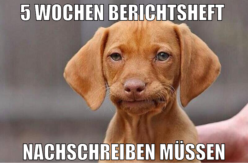 5 wochen berichtsheft  nachschreiben müssen