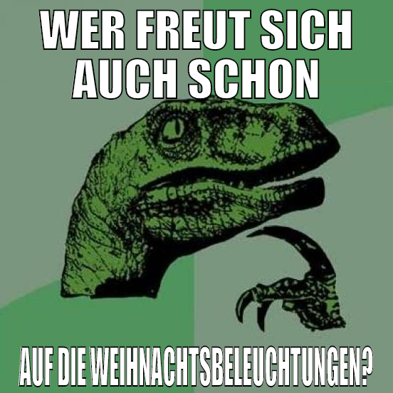 wer freut sich auch schon auf die weihnachtsbeleuc