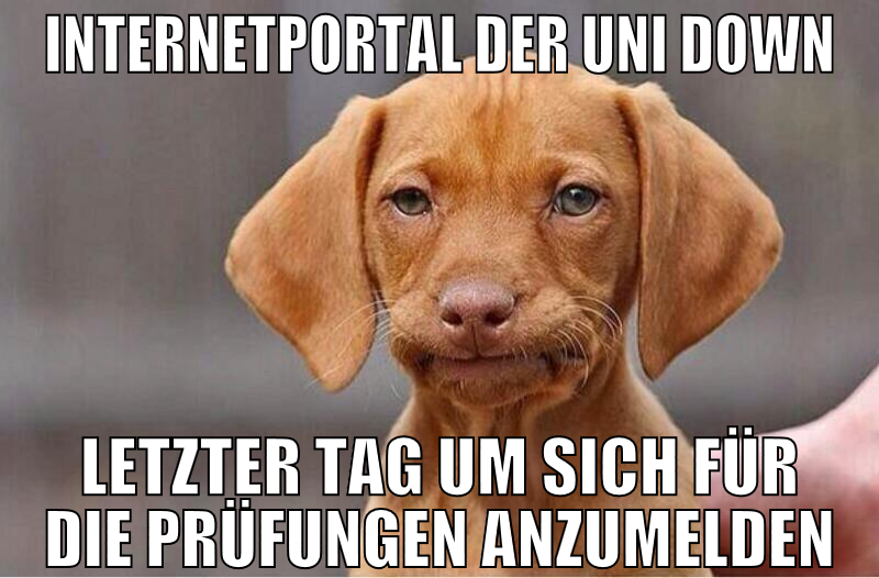 internetportal der uni down letzter tag um sich fü