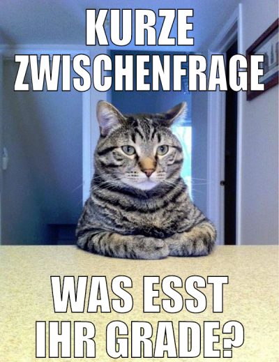kurze zwischenfrage was esst ihr grade?