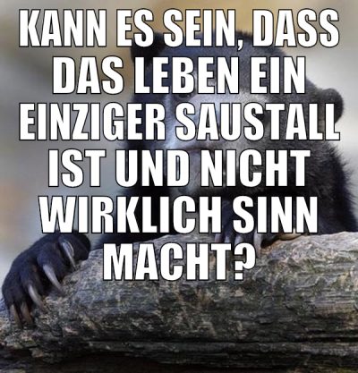 Kann es sein, dass das Leben ein einziger Saustall