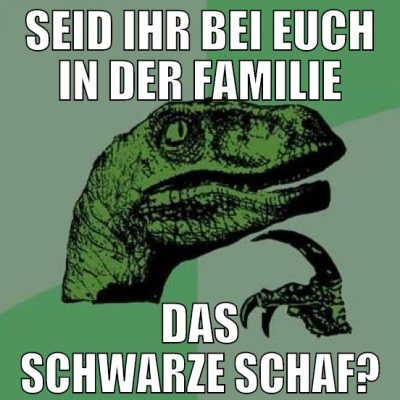 SEID IHR BEI EUCH IN DER FAMILIE DAS SCHWARZE SCHA