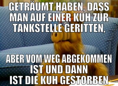 geträumt haben, dass man auf einer kuh zur tankste