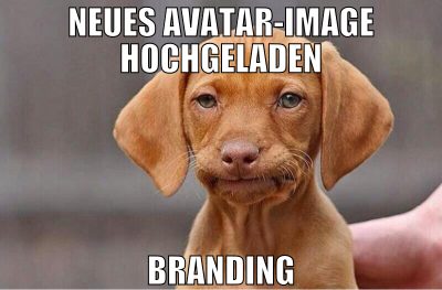 neues avatar-image hochgeladen branding