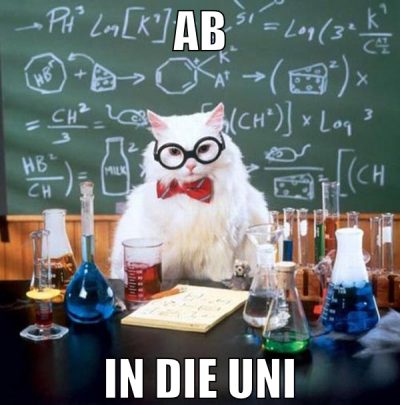 ab in die uni