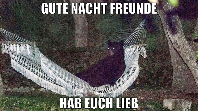 gute nacht freunde hab euch lieb