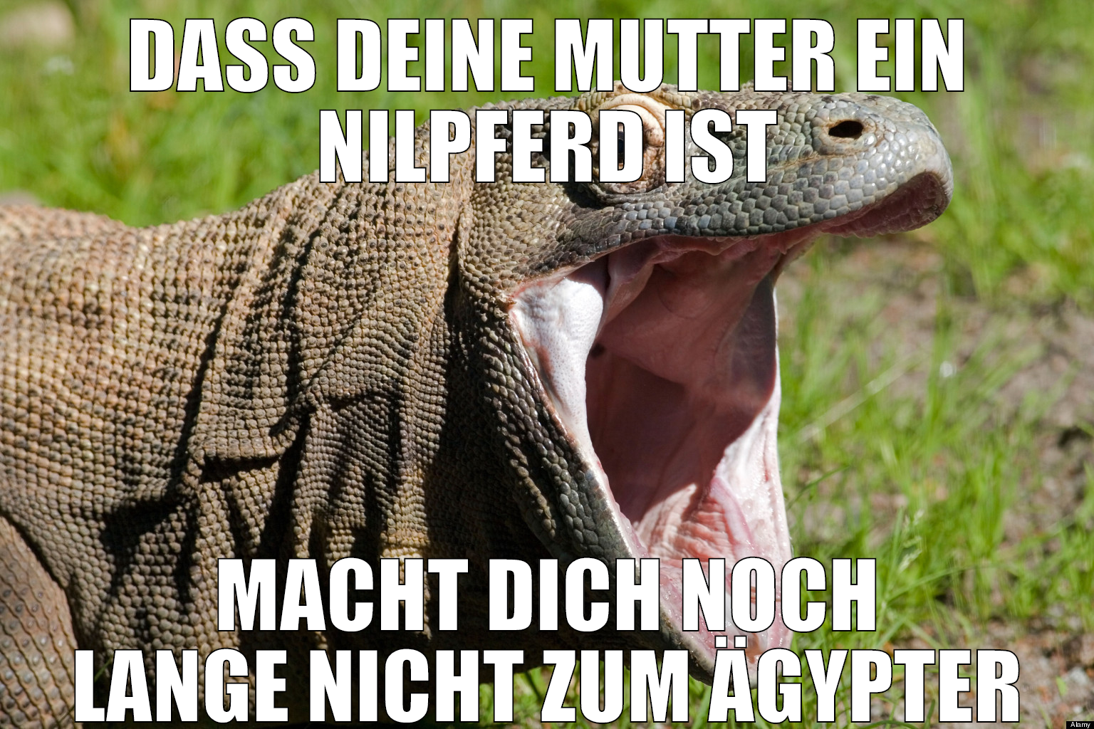 Dass deine Mutter ein Nilpferd ist macht dich noch