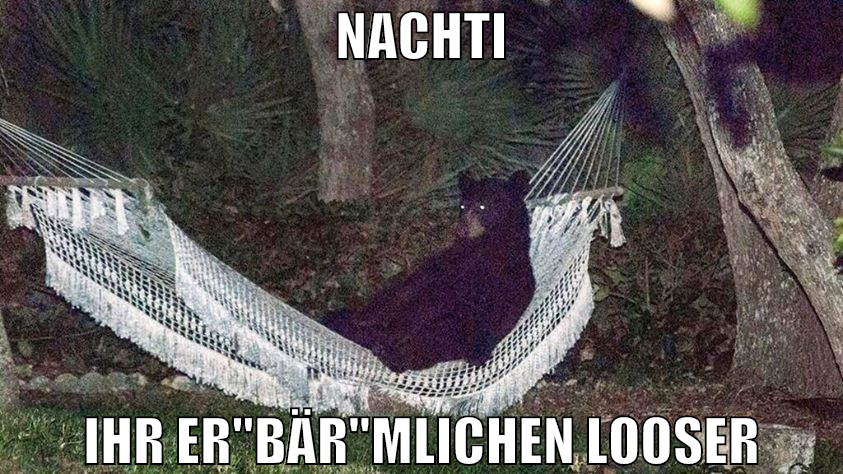 nachti ihr er"bär"mlichen looser