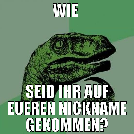 wie  seid ihr auf eueren nickname gekommen?