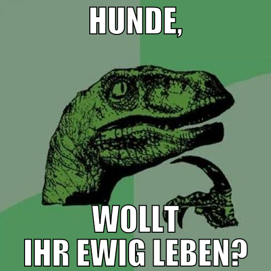Hunde, wollt ihr ewig leben?