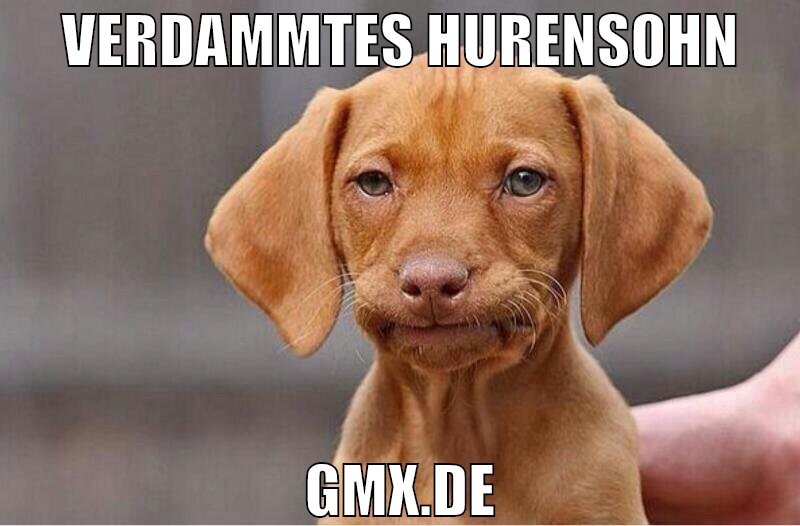 verdammtes hurensohn gmx.de