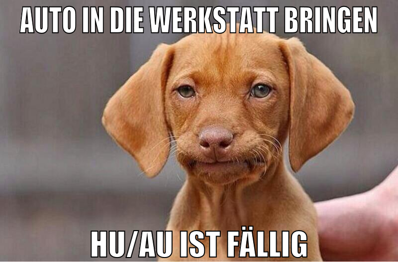 AUTO IN DIE WERKSTATT BRINGEN HU/AU IST FÄLLIG