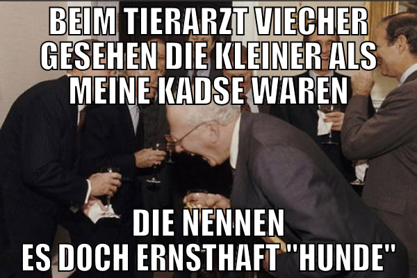 beim tierarzt viecher gesehen die kleiner als mein
