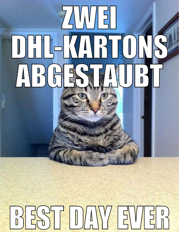 ZWEI DHL-KARTONS ABGESTAUBT BEST DAY EVER