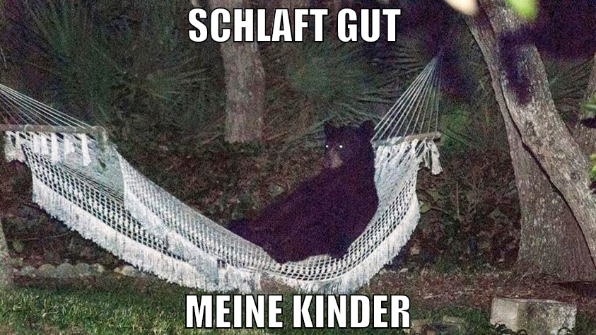schlaft gut  meine kinder