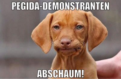 pegida-demonstranten abschaum!