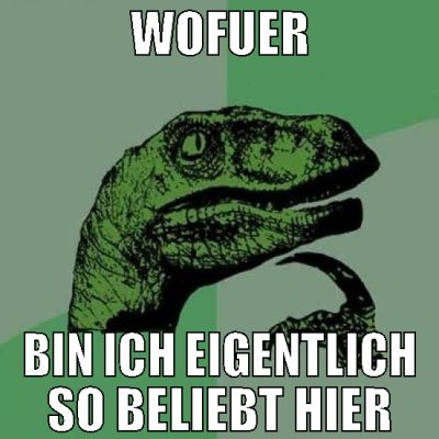 wofuer bin ich eigentlich so beliebt hier