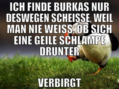 ICH FINDE BURKAS NUR DESWEGEN SCHEISSE, WEIL MAN N