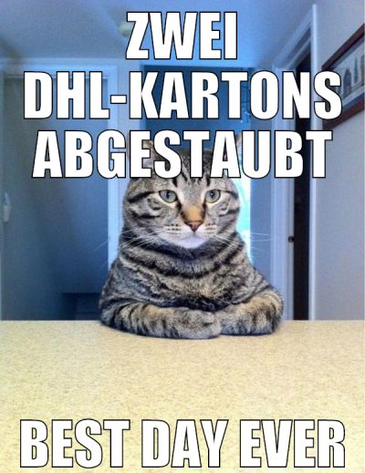 ZWEI DHL-KARTONS ABGESTAUBT BEST DAY EVER