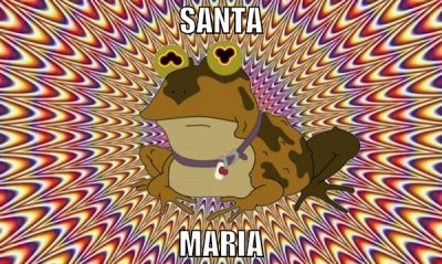 santa maria