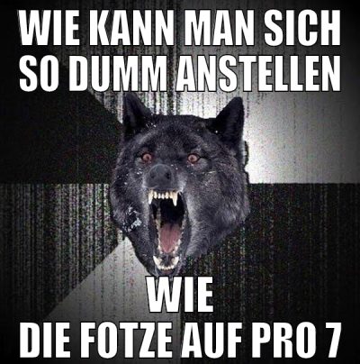 wie kann man sich so dumm anstellen wie die fotze