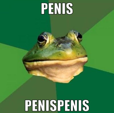 niggers